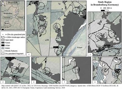 Structurally rich dry grasslands – Potential stepping stones for bats in open farmland